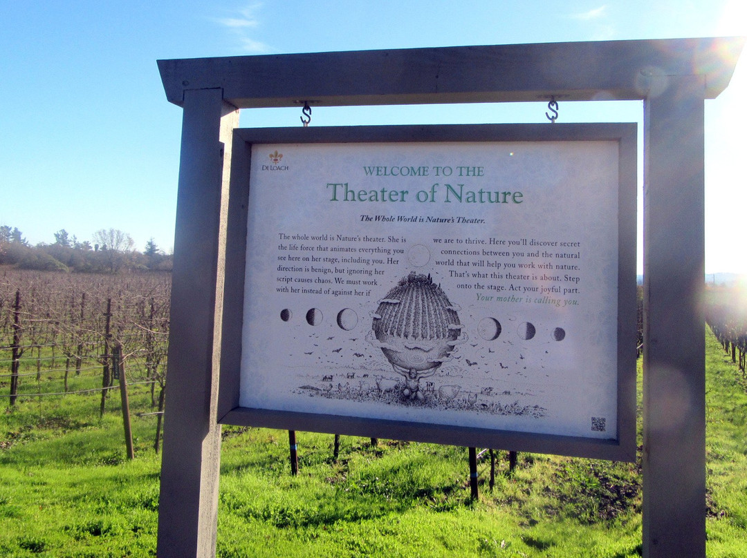 DeLoach Vineyards-圣罗莎必去景点