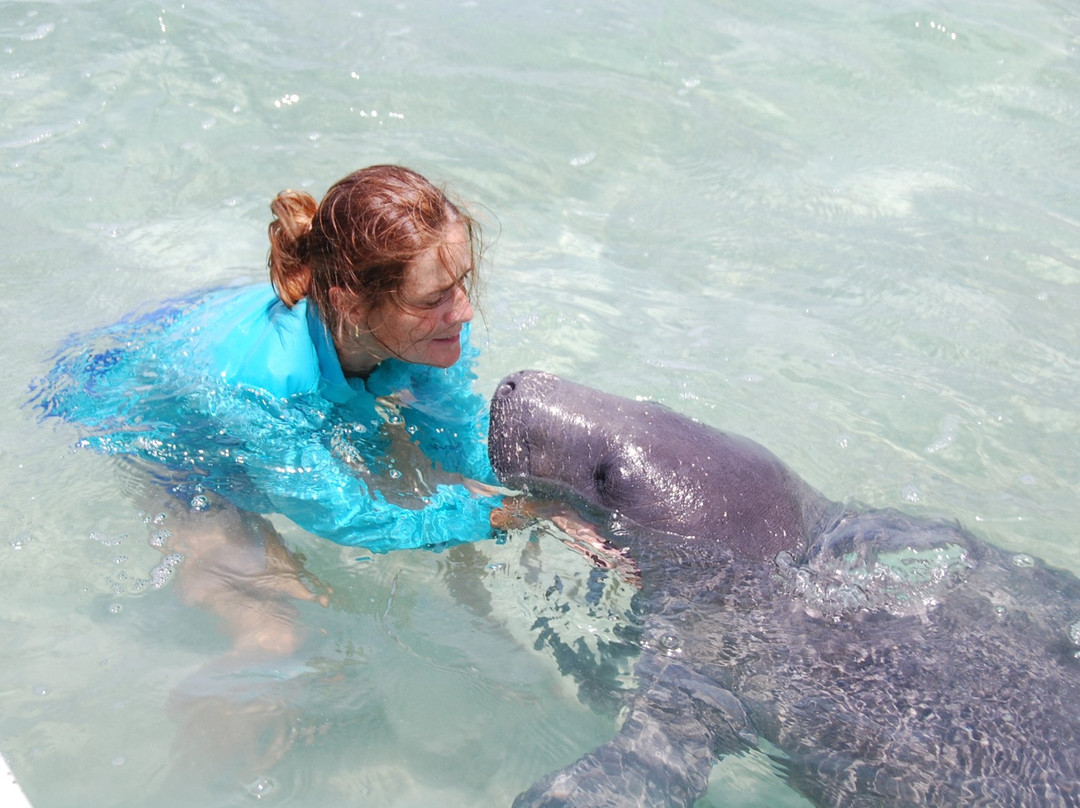 Parque Nacional de Arrecifes-Xcalak必去景点