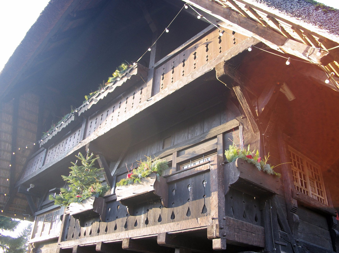 Fürstenberger Hof Heimatmuseum景点图片