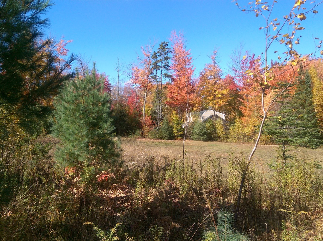 Macedonia Brook State Park-肯特必去景点