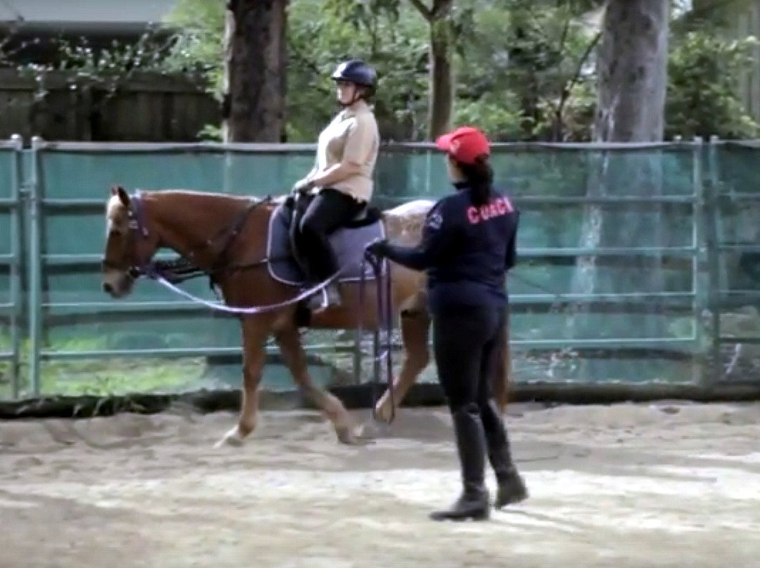 Wattle Creek Equestrian Centre-布里斯班必去景点