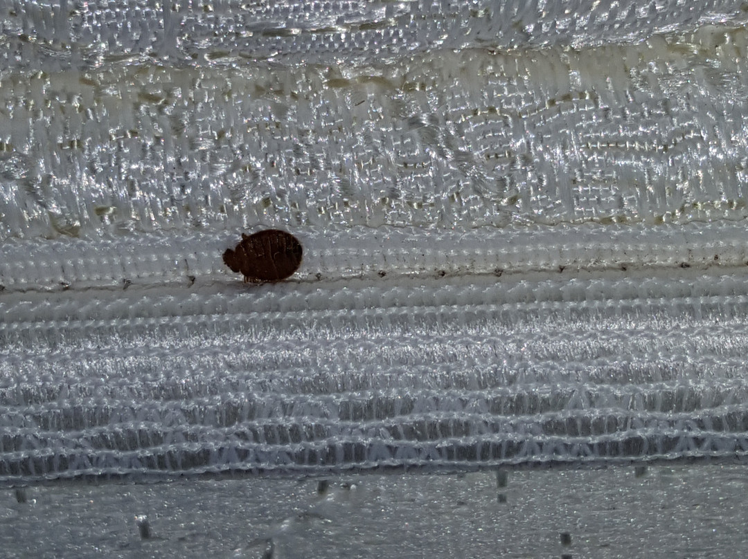 Texas Lodge Kenedy主图