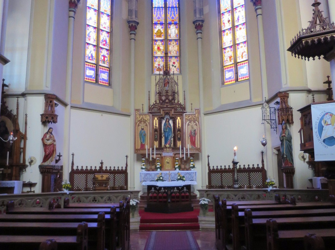 Church of the Immaculate景点图片