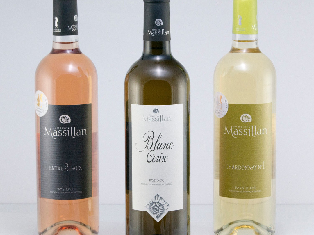 Domaine Massillan景点图片