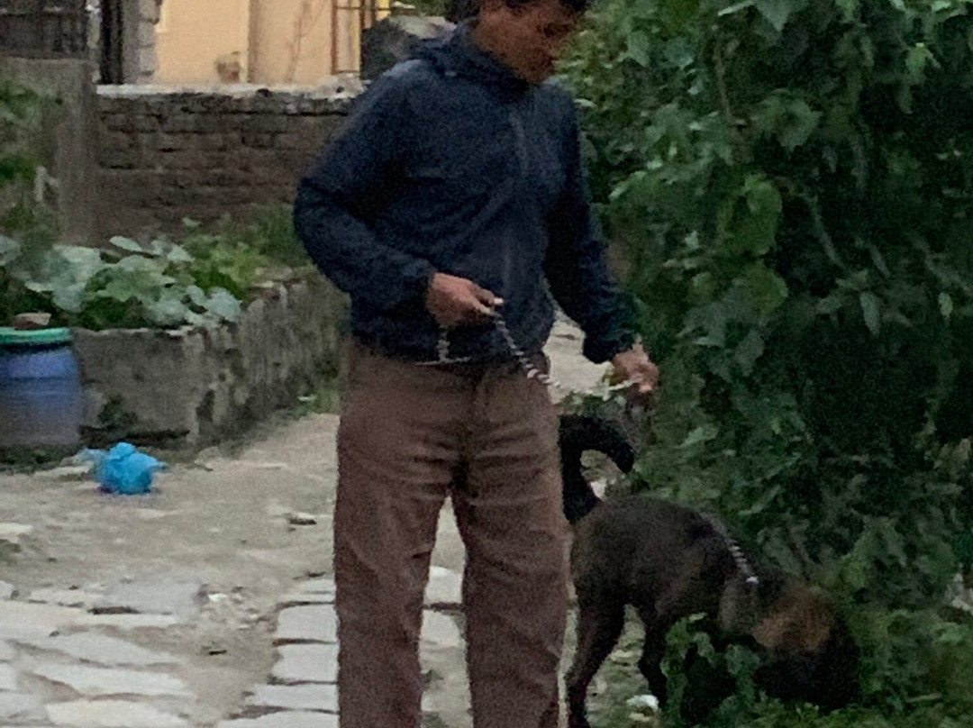 New Throungla Guest House and Restaurant