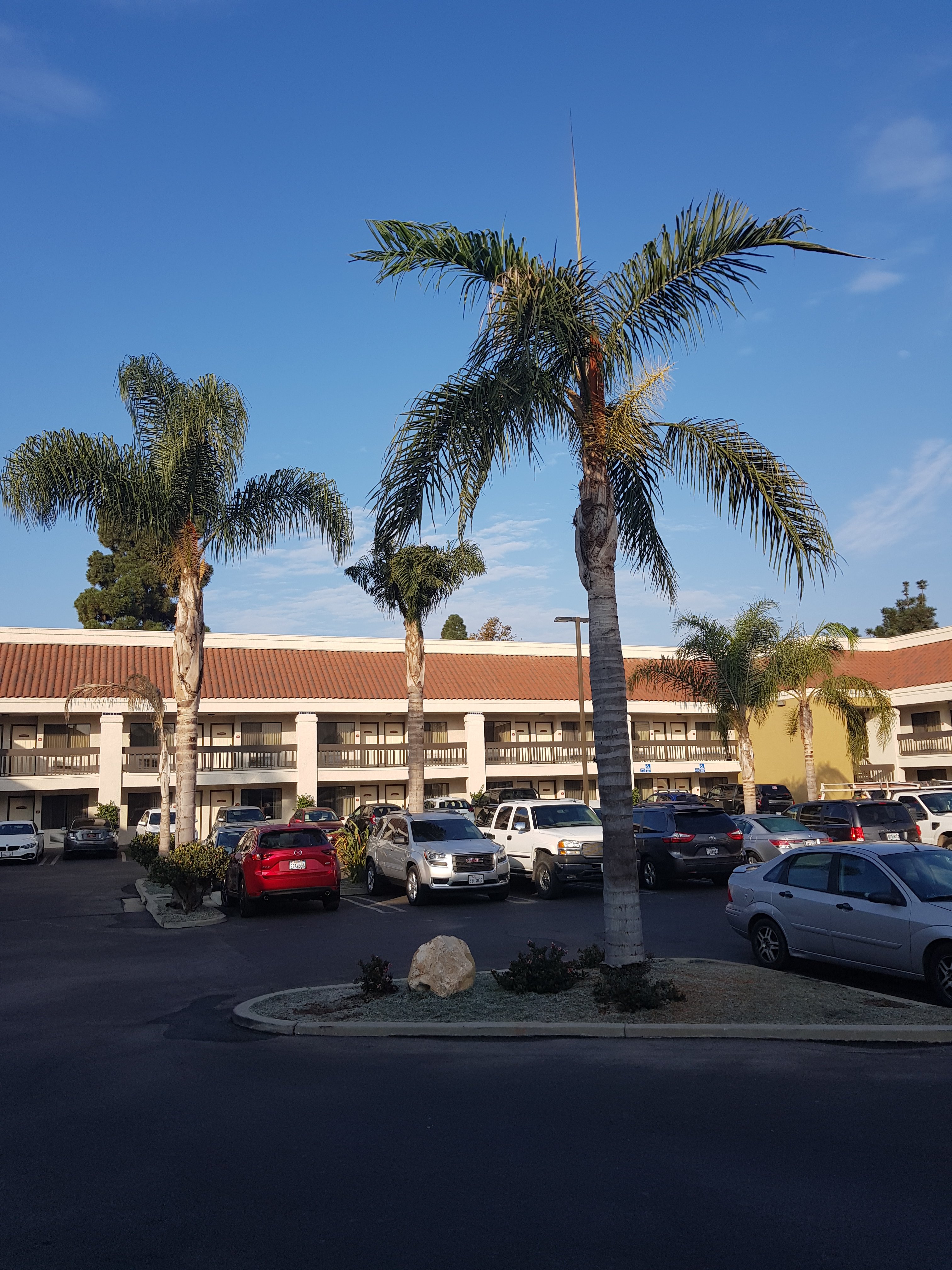 贝斯特韦斯特普拉斯大美国酒店-浴室