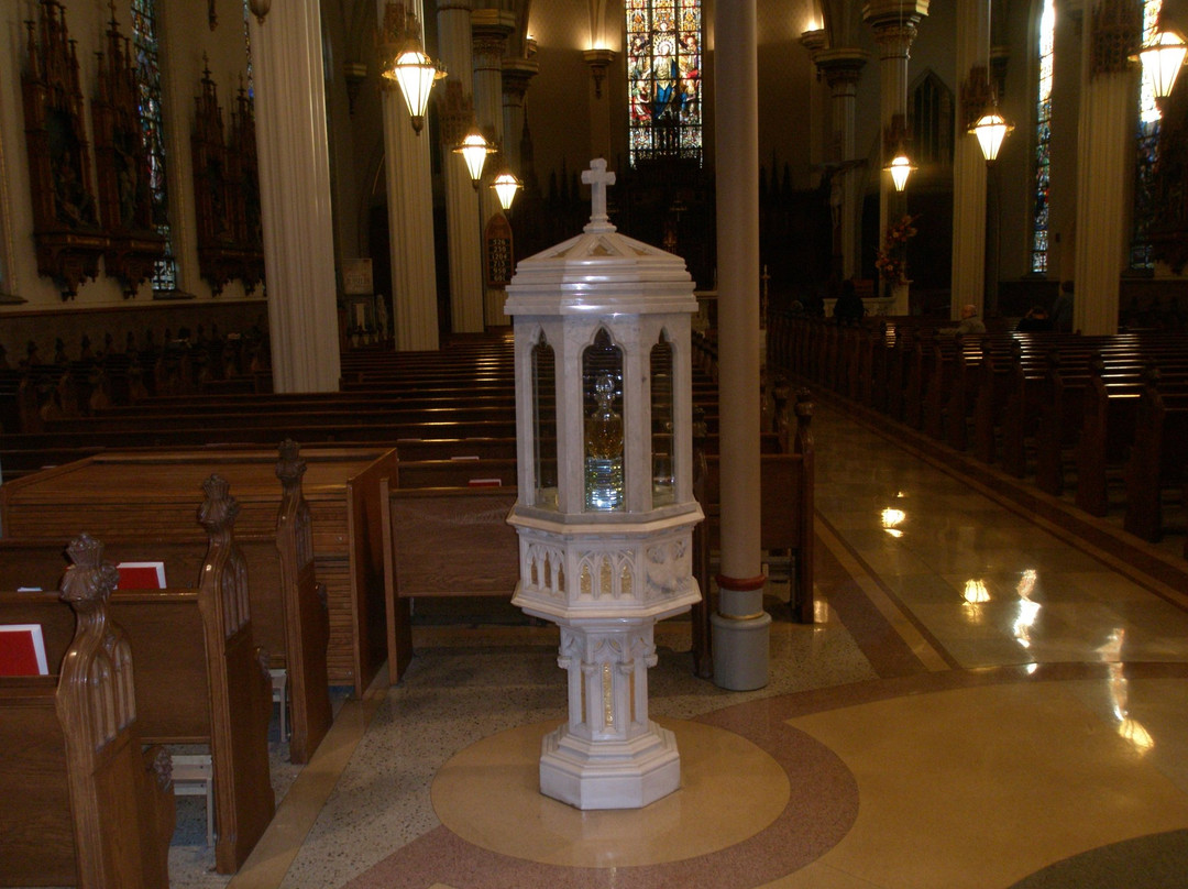 Cathedral of the Immaculate Conception-韦恩堡必去景点