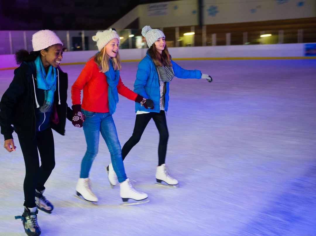 Paradice Ice Skating Avondale-Avondale必去景点