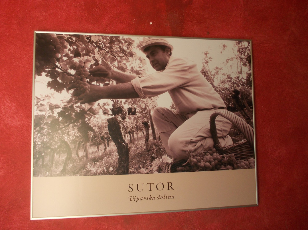 Sutor Wine Farm-Vipava必去景点