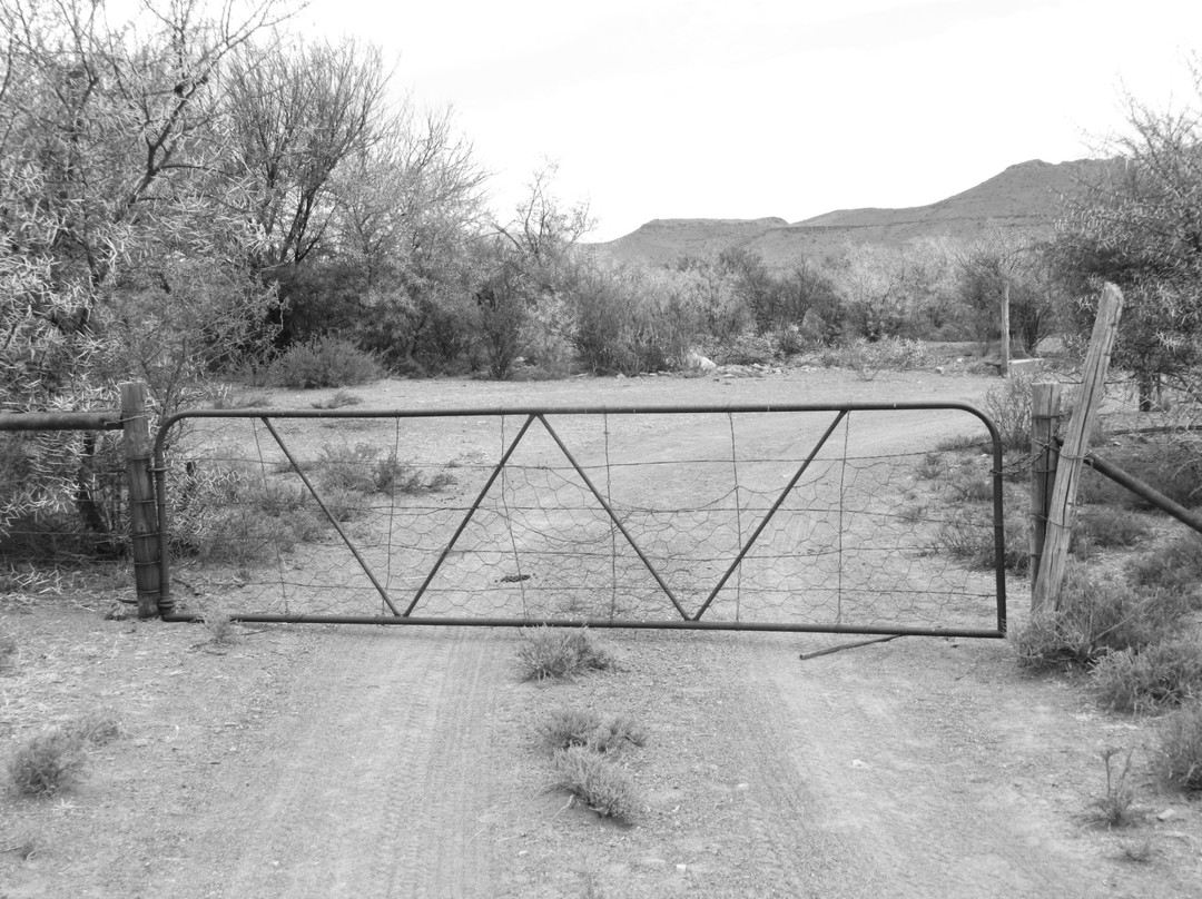 Taaiboschfontein主图