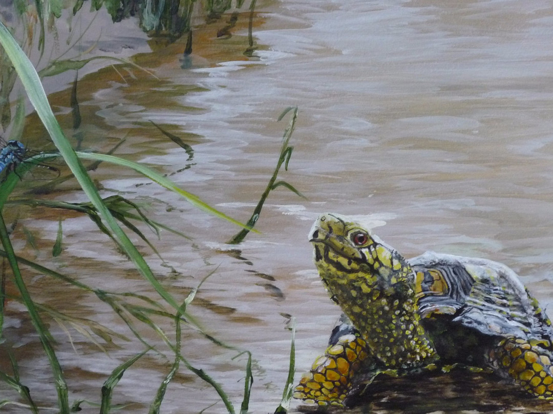 Kingsland Welcome Center-Kingsland必去景点