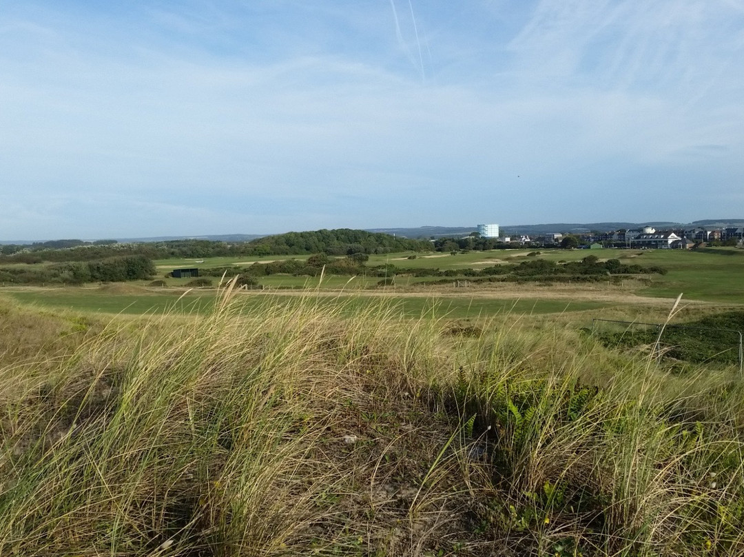 West Beach Local Nature Reserve景点图片