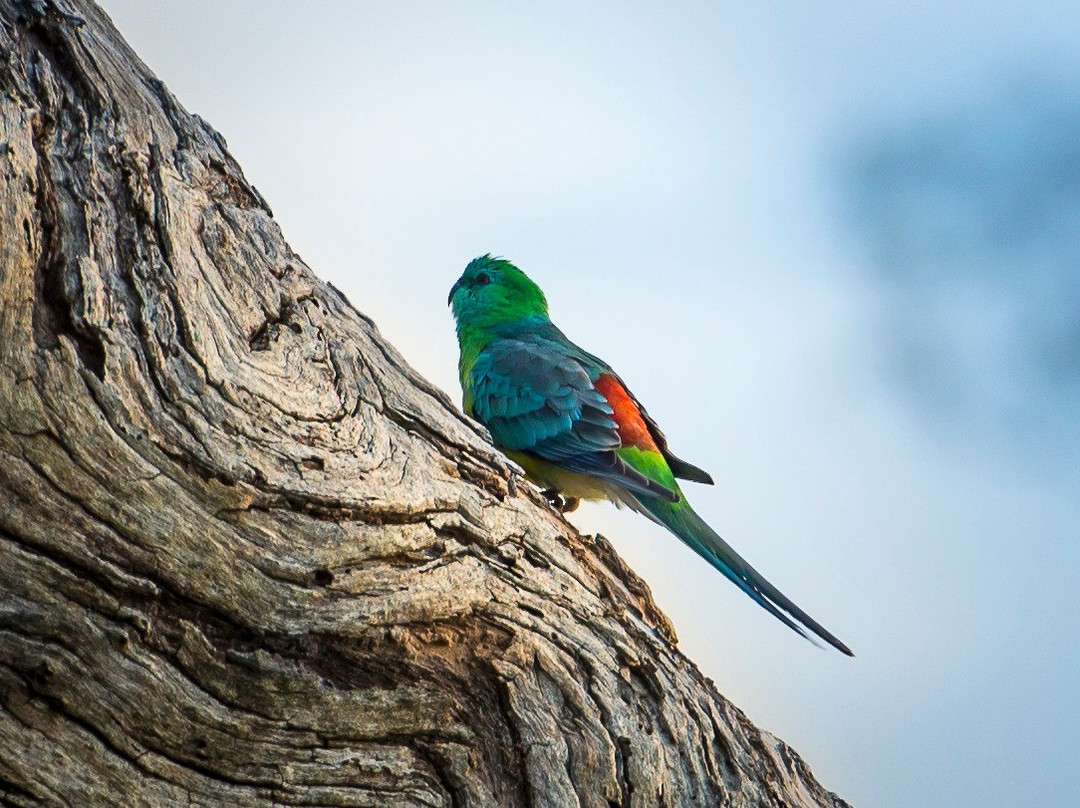 Tiger Bay Wetlands-Warren必去景点
