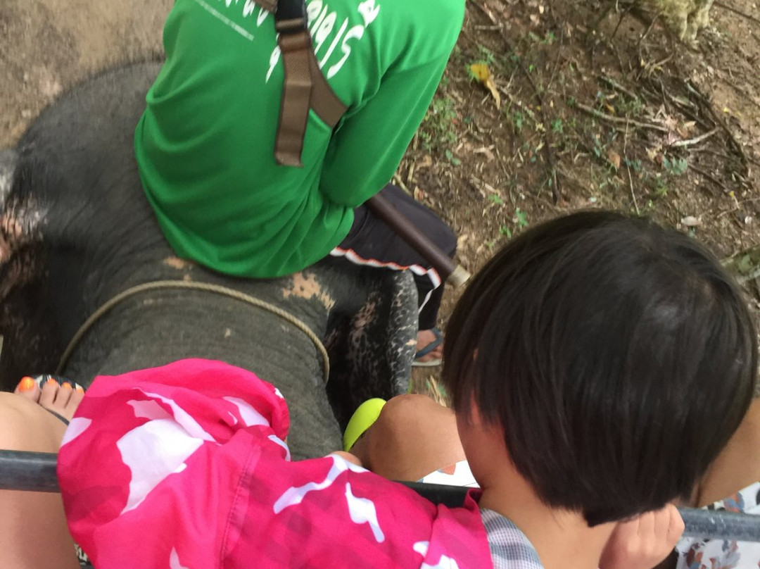 Huay Tho Waterfall Safaris景点图片