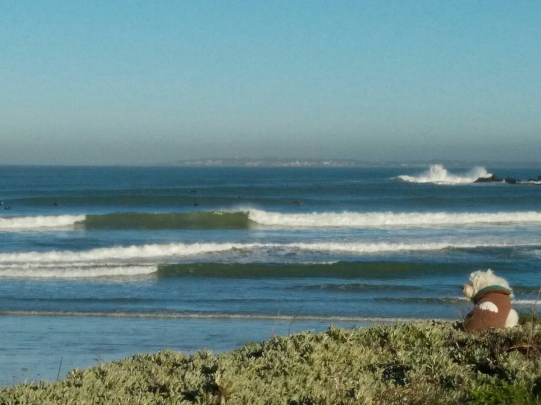 Cabrinha Kiteboarding景点图片