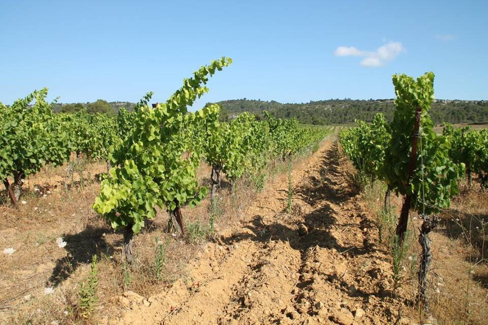Domaine Les Cascades景点图片