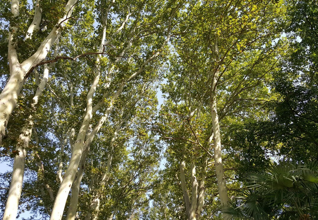 Khan Bagy Park-占贾必去景点