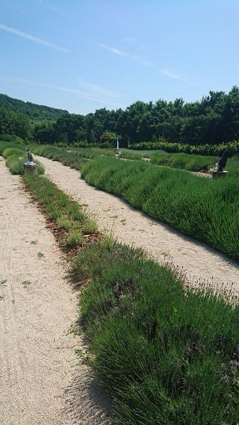 Levendárium Shop-Dorgicse必去景点