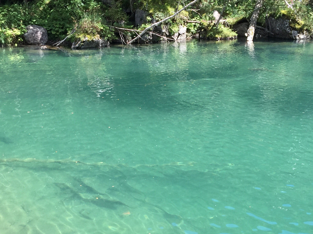 长白山迷宫-白山市必去景点
