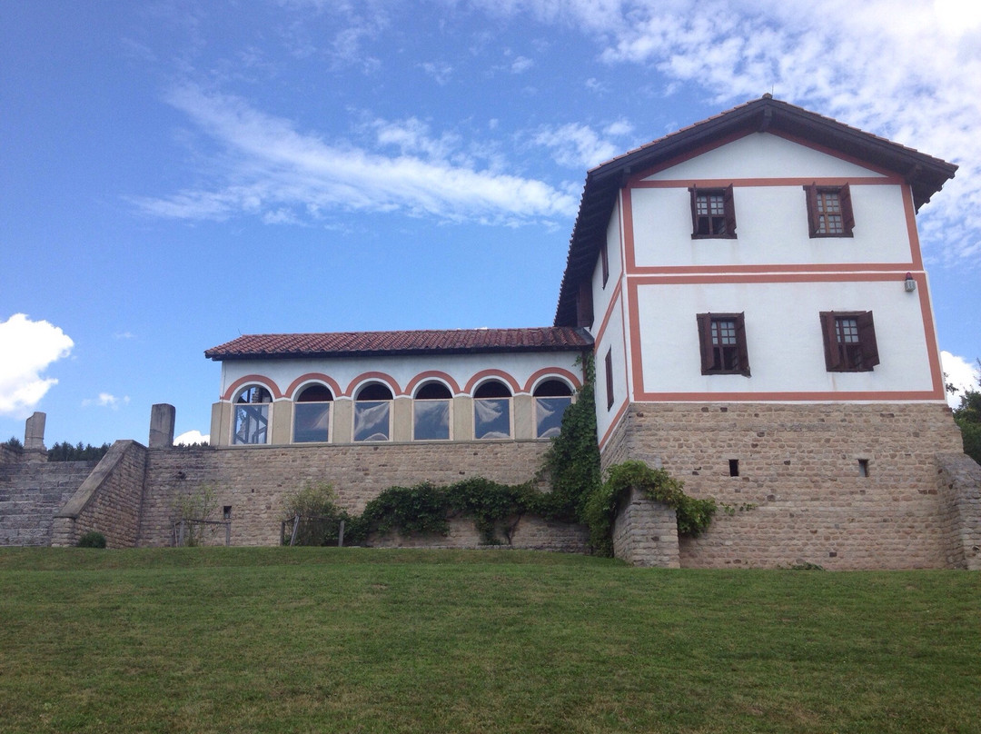 Roman Open Air Museum景点图片