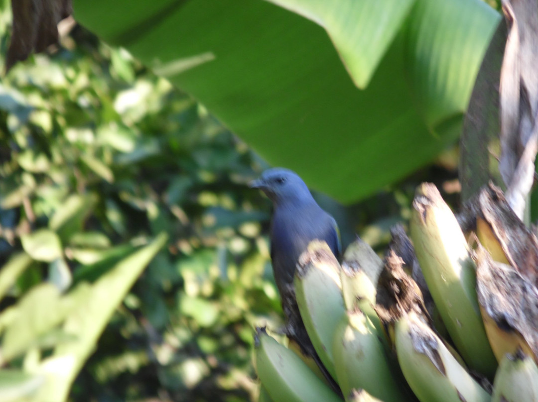 Pousada Fazenda Pedra Riscada主图