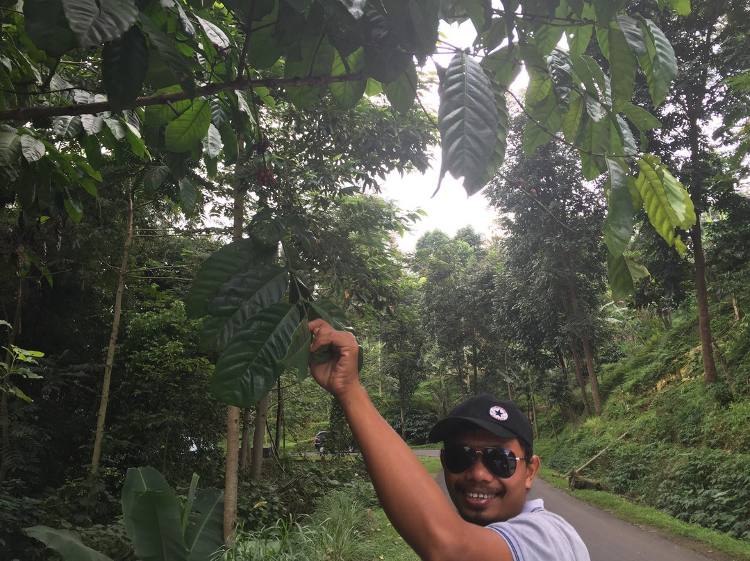 Guide Nyoman Lingga-Beraban必去景点