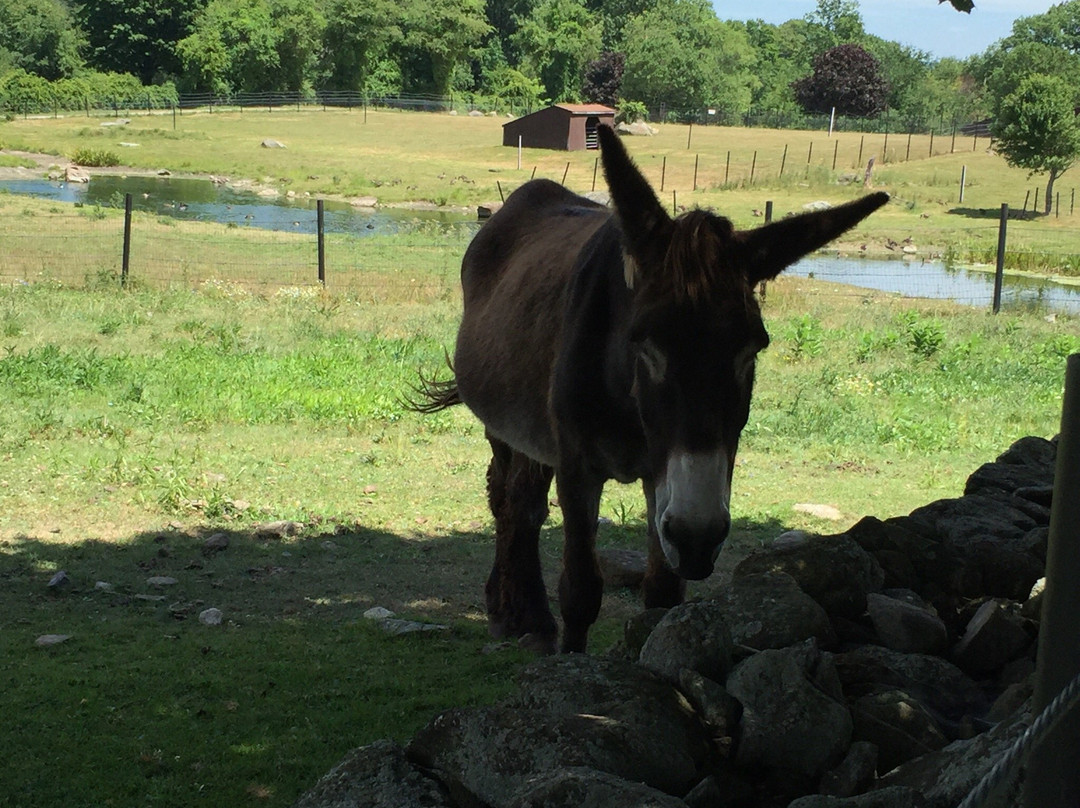 Action Wildlife Foundation-Goshen必去景点