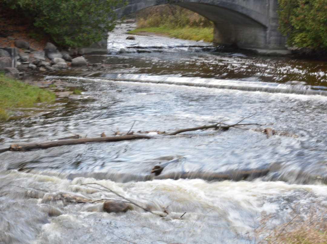 Jackson Park-彼得伯勒必去景点