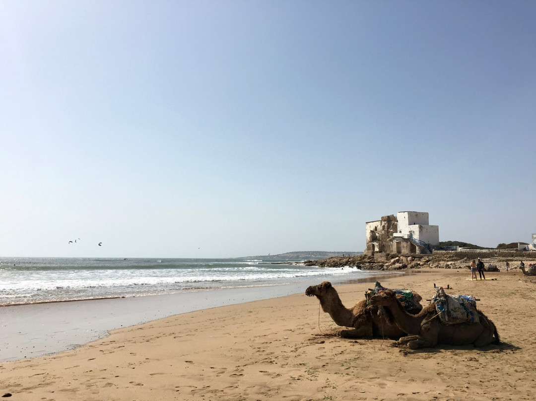 Agoudal Travel-马拉喀什必去景点