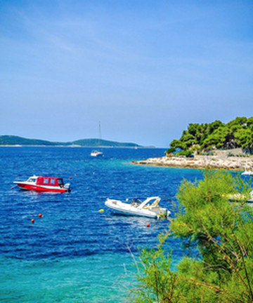 Palmizana Botanical Garden景点门票图片