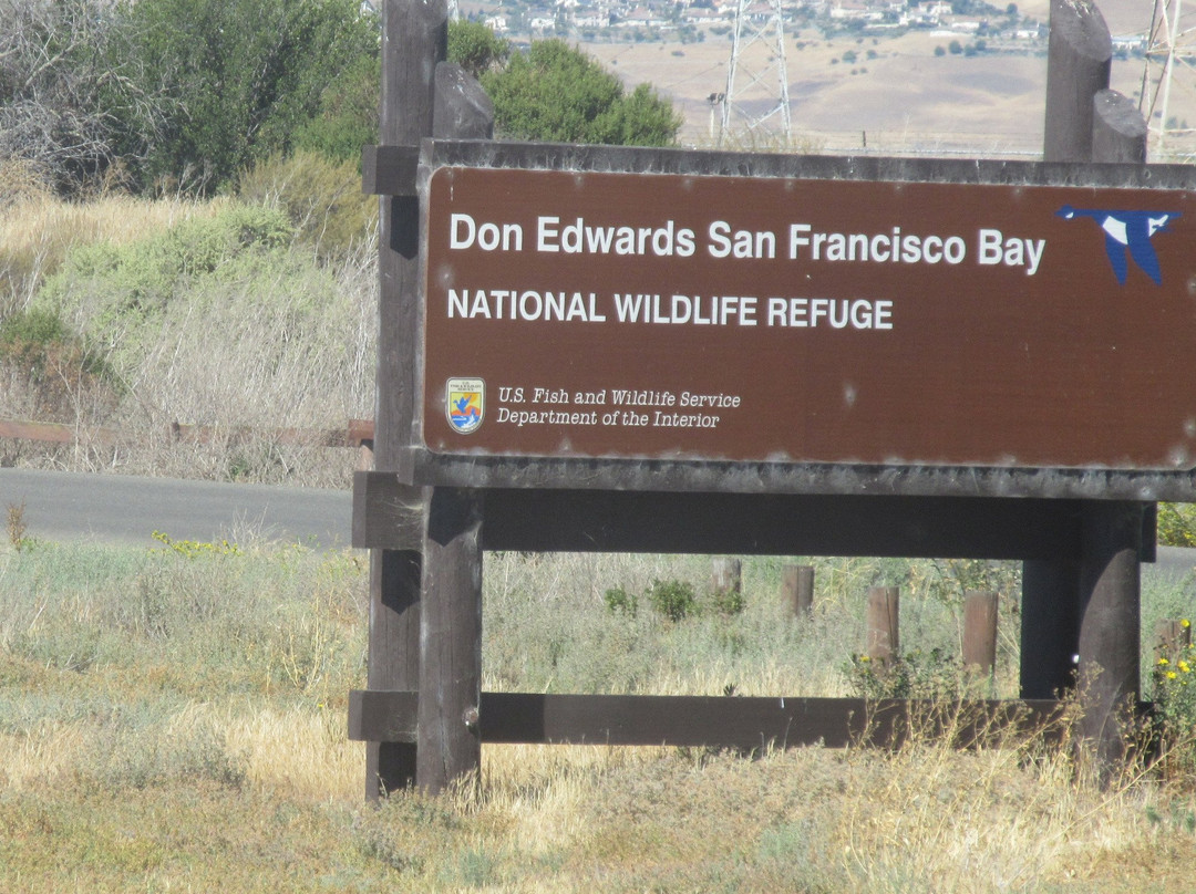 Don Edwards San Francisco National Wildlife Refuge景点图片