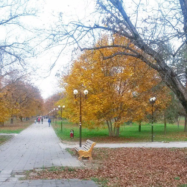 Park Orekhovaya Roshha景点图片