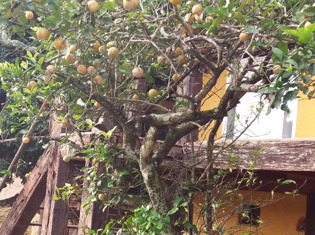 Pousada Caturama主图