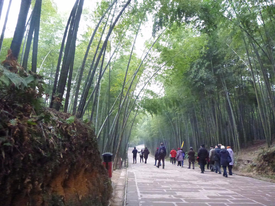 翡翠长廊景点图片