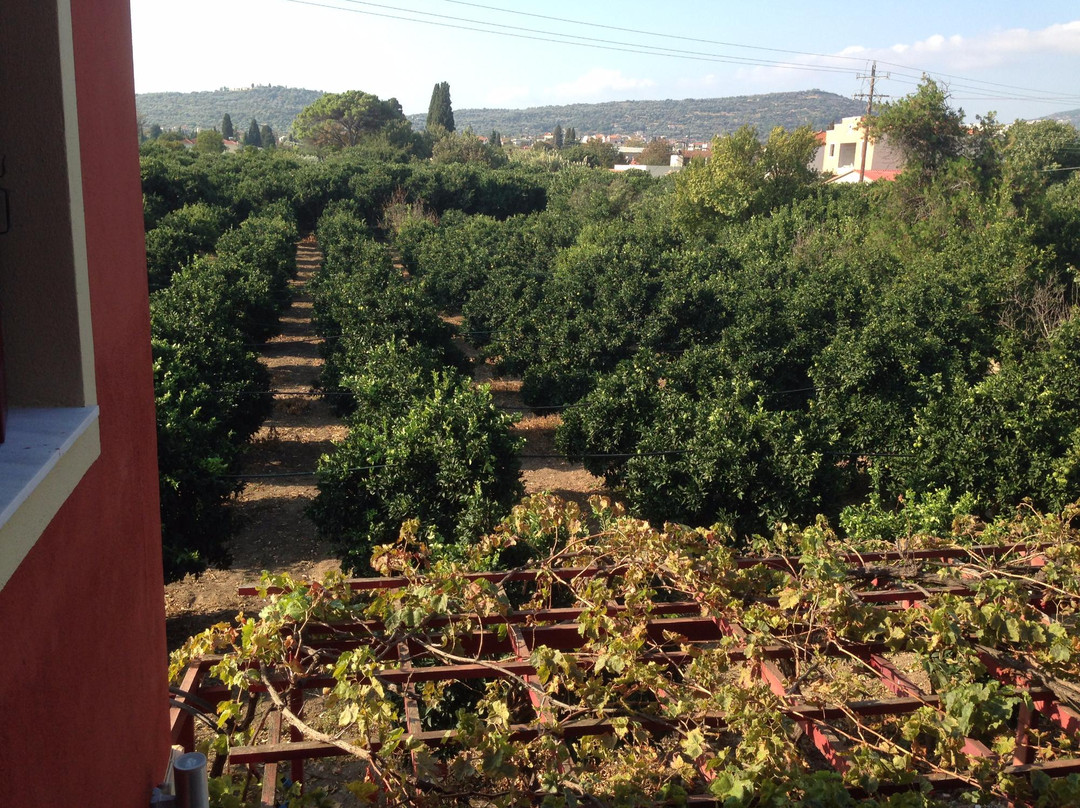 Manganos Chios Hotel主图