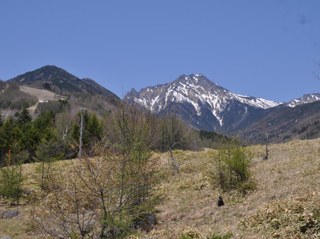 Yamanashi Prefectural Yatsugatake Shizen Fureai Center-北斗市必去景点