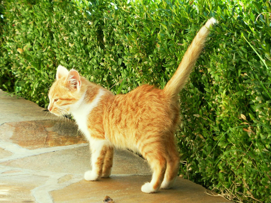 Iera Moni Agion Panton (All Saints Monastery)-韦里亚必去景点