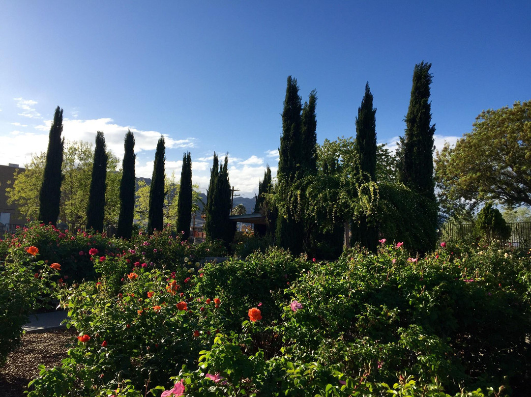 El Paso Municipal Rose Garden-埃尔帕索必去景点