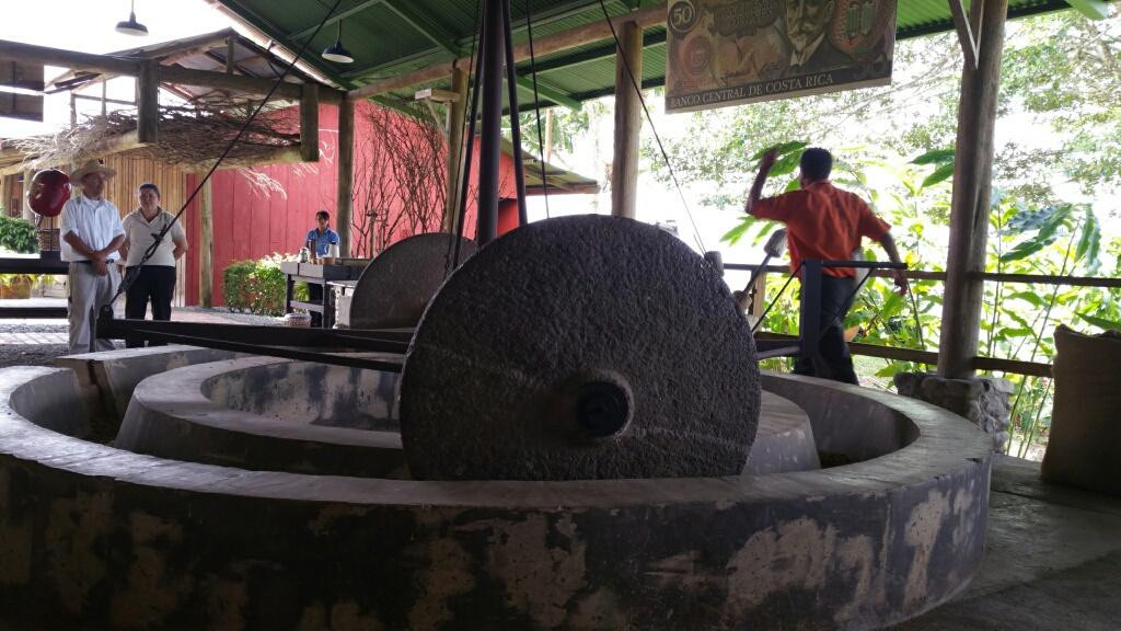 Hacienda Tayutic Tours景点图片