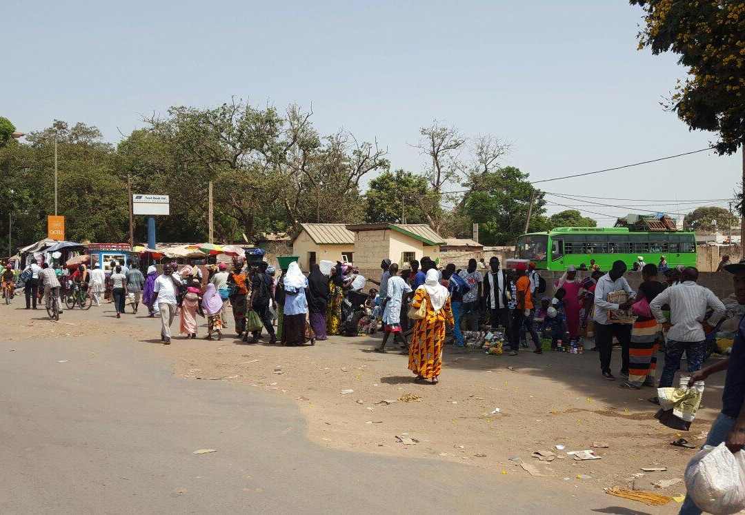 Gambia Safari-Bakau必去景点