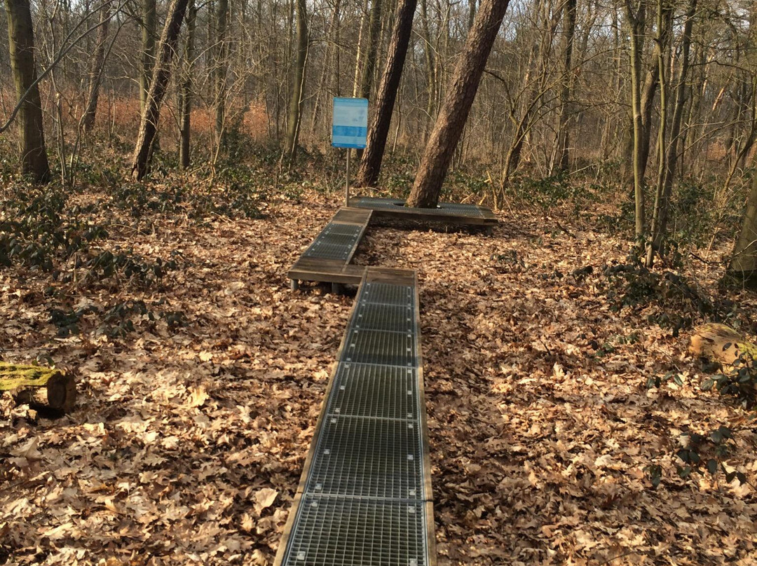 Sportpark Duisburg景点图片
