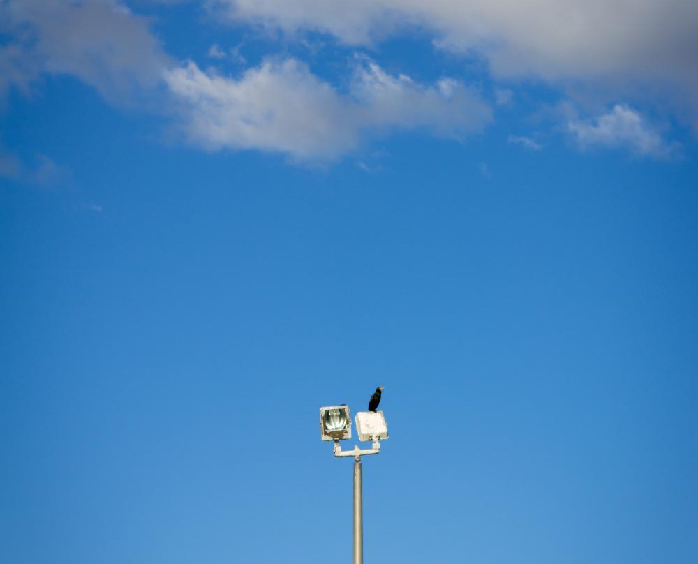 布劳尼格湖-圣安东尼奥市必去景点
