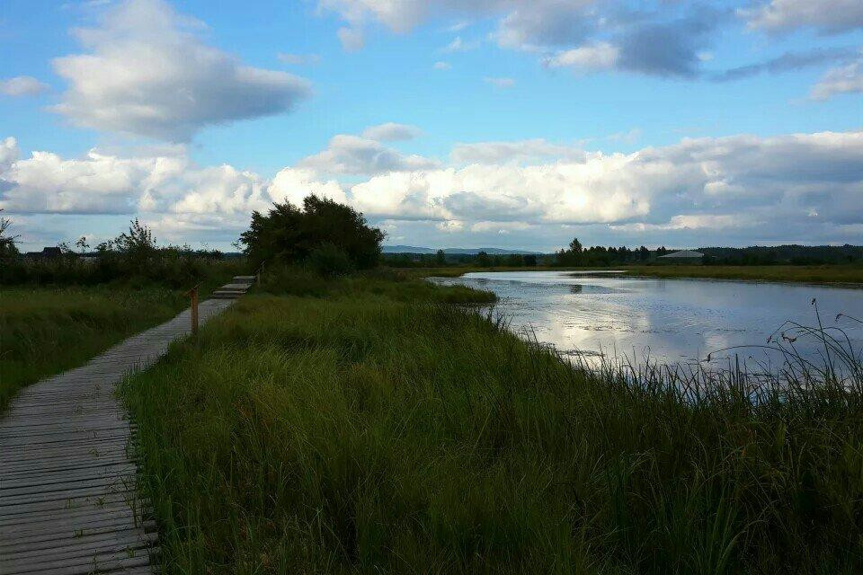 汤旺河石林风景区-伊春市必去景点