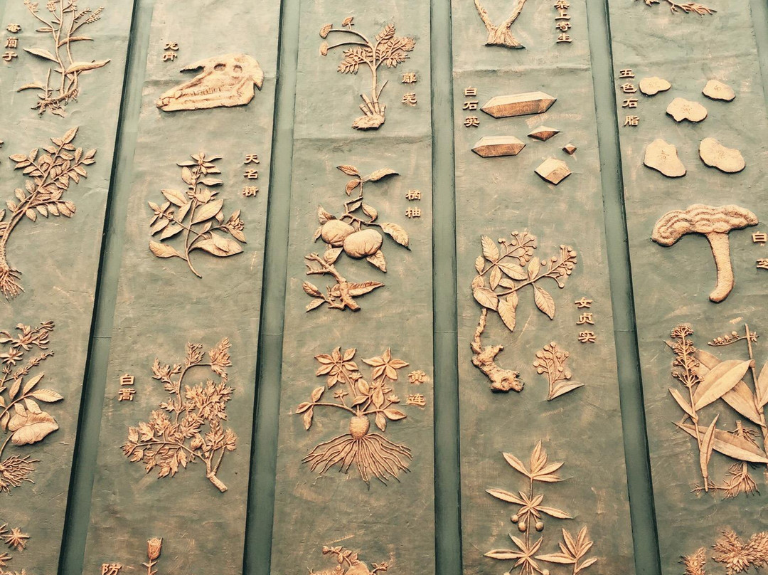 广西药用植物园景点图片