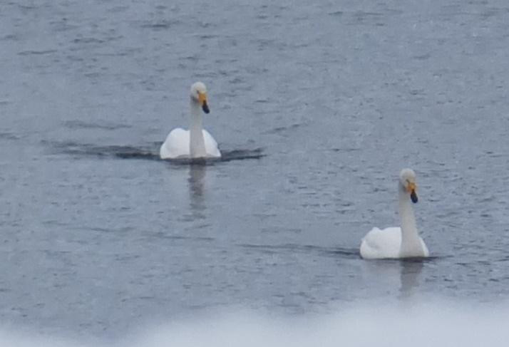 Tokachigawa Onsen Aqua Park-音更町必去景点
