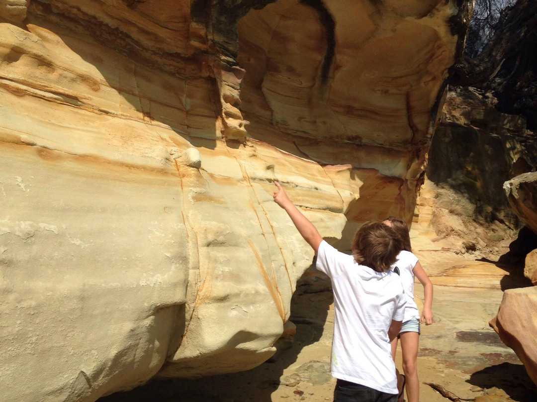 Lime Bay State Reserve-亚瑟港必去景点