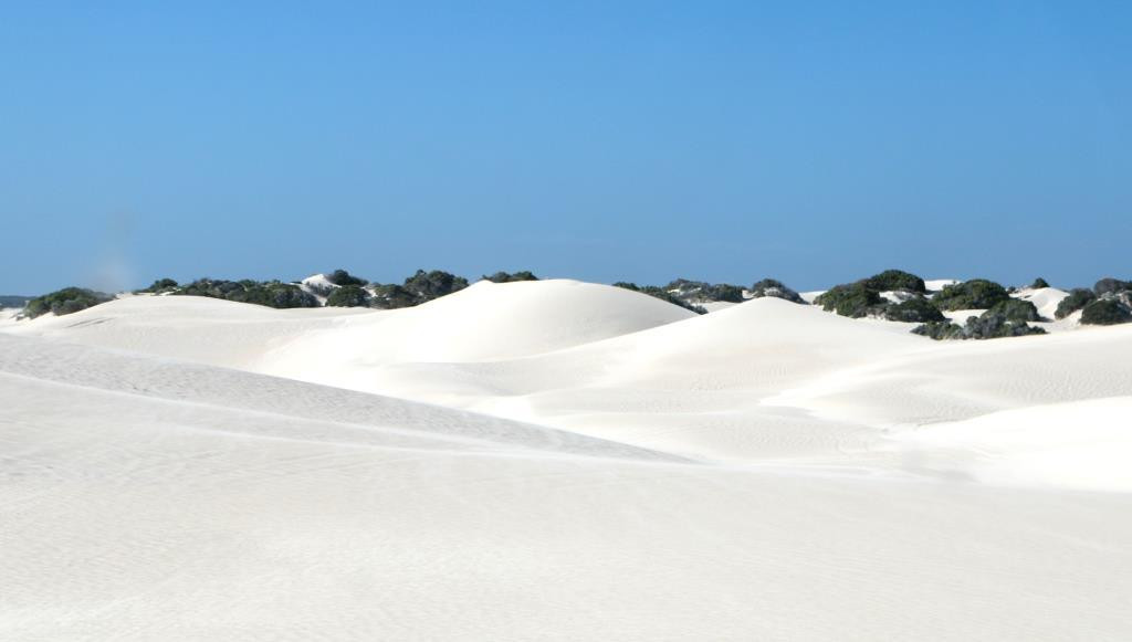 Lancelin Sand Dunes景点图片