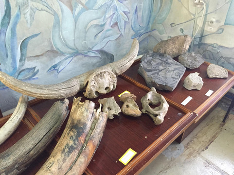 Guryevsk City Local Lore Museum