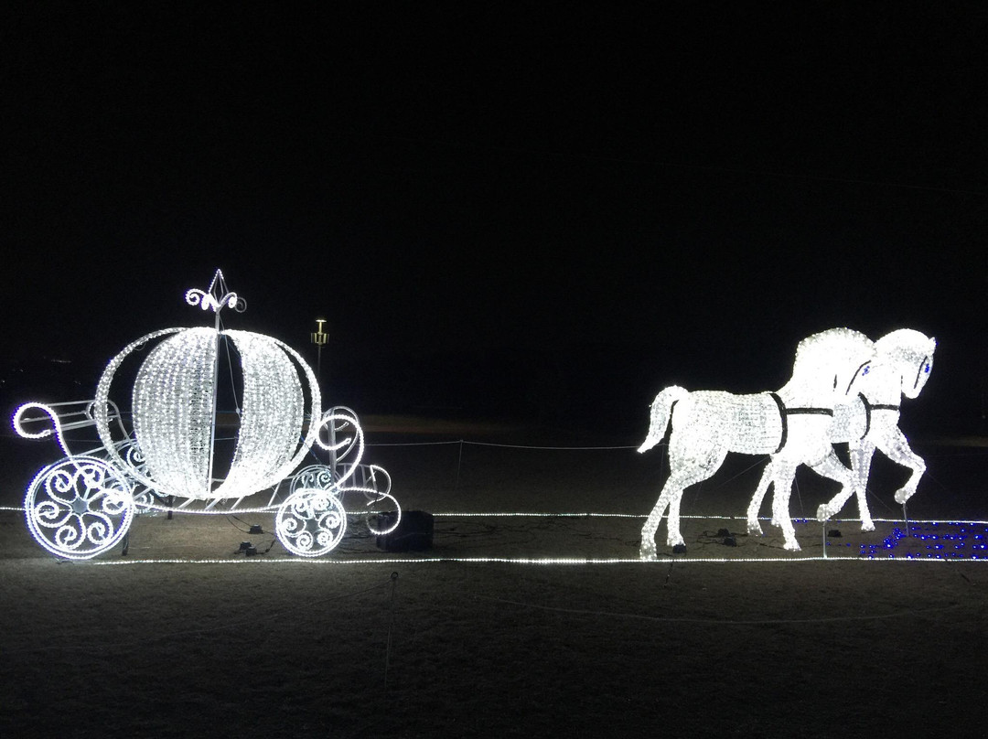 Ota Illumination-太田市必去景点