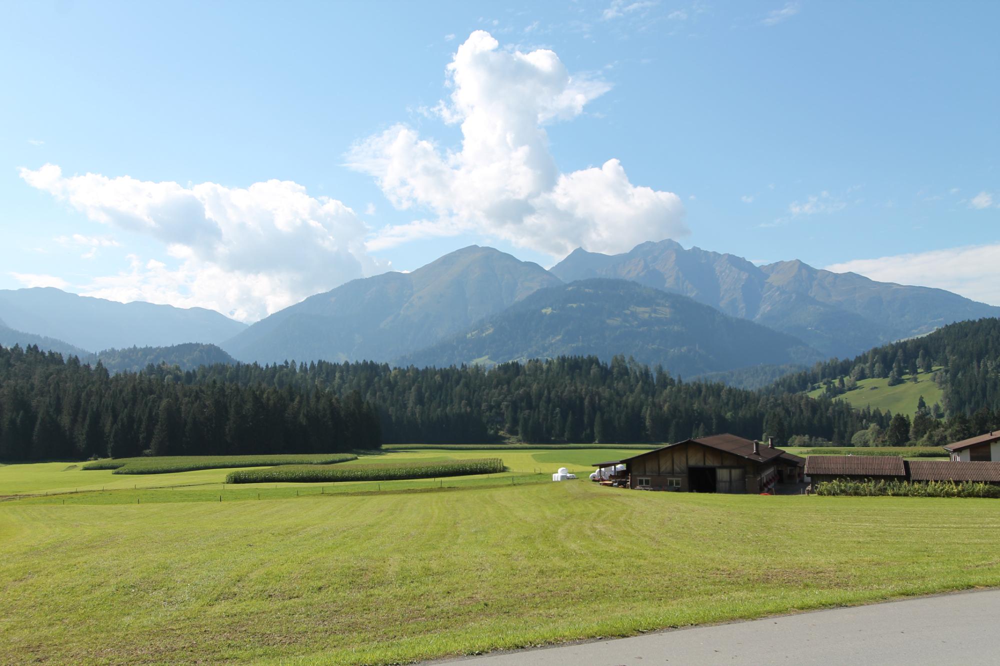 Ustria Parlatsch Hotel-餐饮